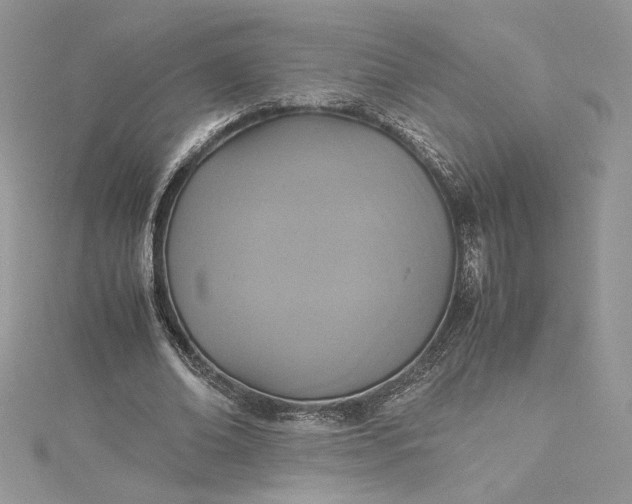 X0000115350678200911171332