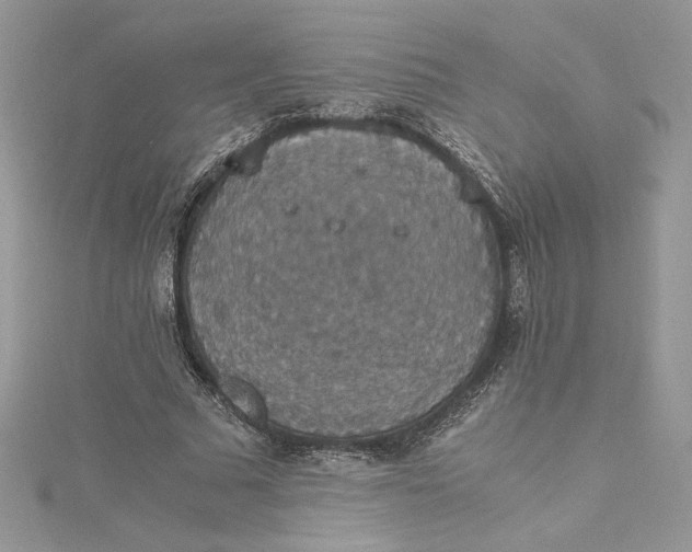 X0000115350681200911171332