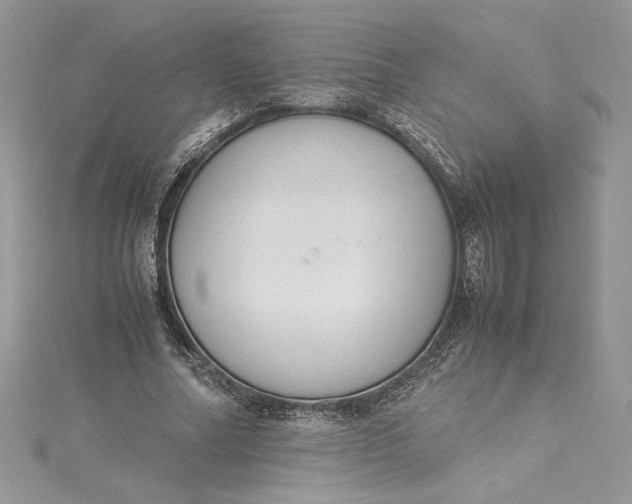 X0000115350682200911171332