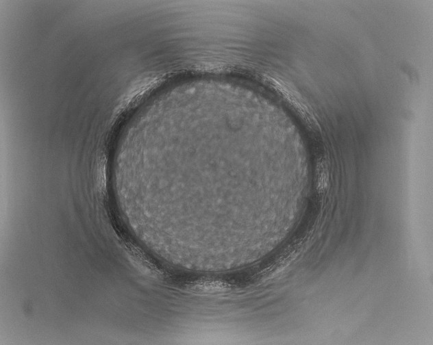 X0000115350685200911171332