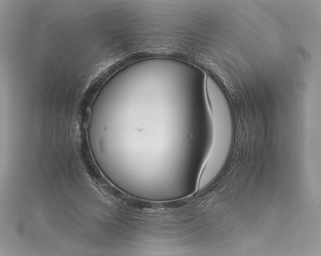 X0000115350688200911171332