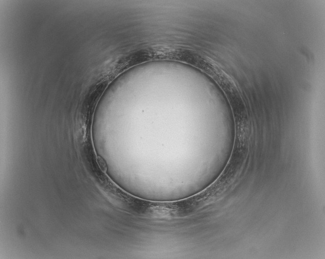 X0000115350703200911171332