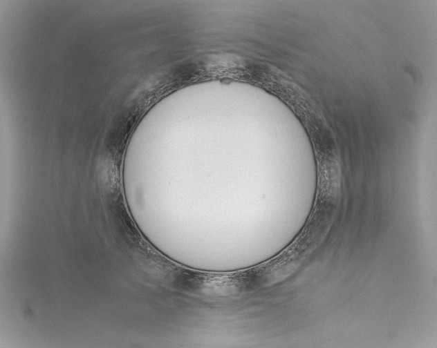 X0000115350705200911171332