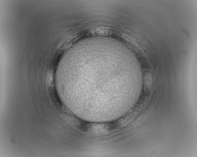 X0000115350709200911171332