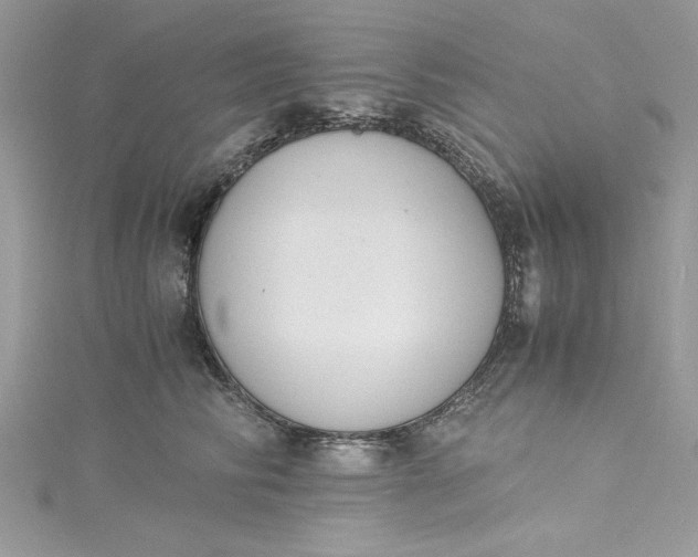 X0000115350710200911171332