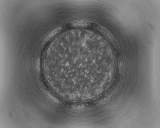 X0000115350729200911171331