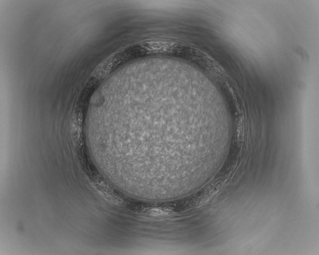 X0000115350737200911171331