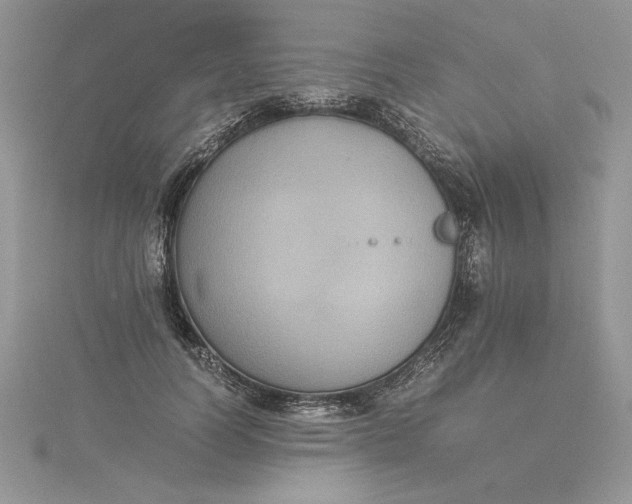 X0000115350746200911171331