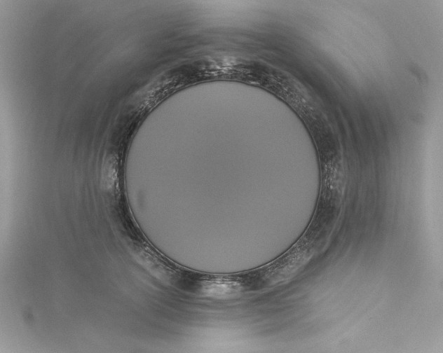 X0000115350754200911171332