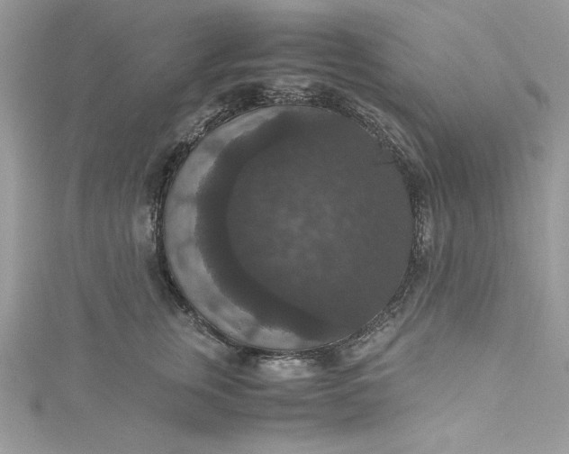 X0000115350759200911171332