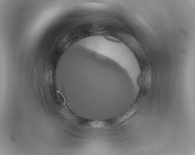 X0000115350762200911171332