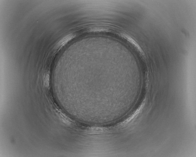 X0000115350777200911171331
