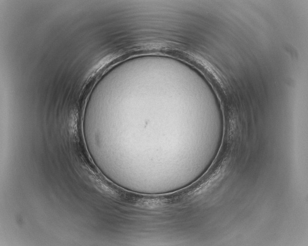 X0000115350778200911171331