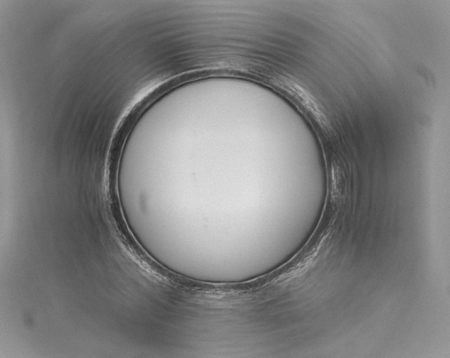 X0000115350780200911171331