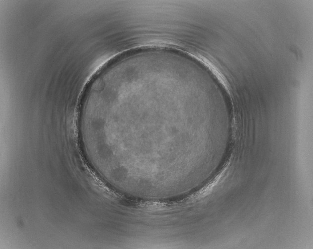X0000115350783200911171331