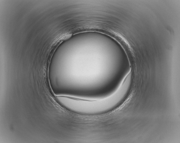 X0000115350785200911171331