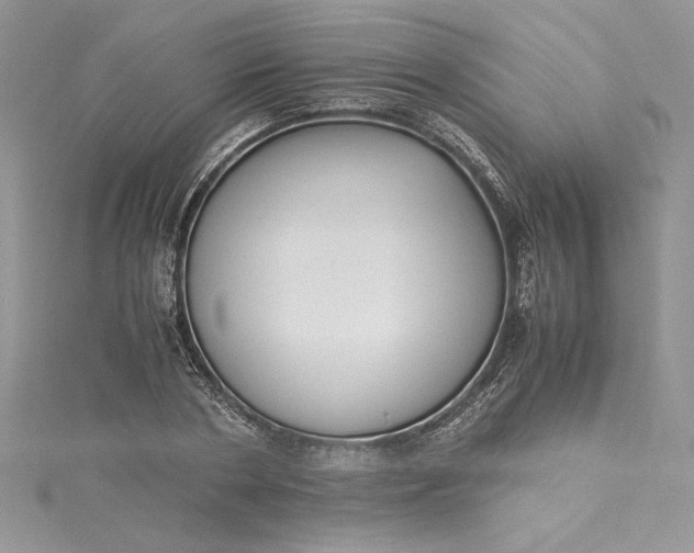 X0000115350786200911171331
