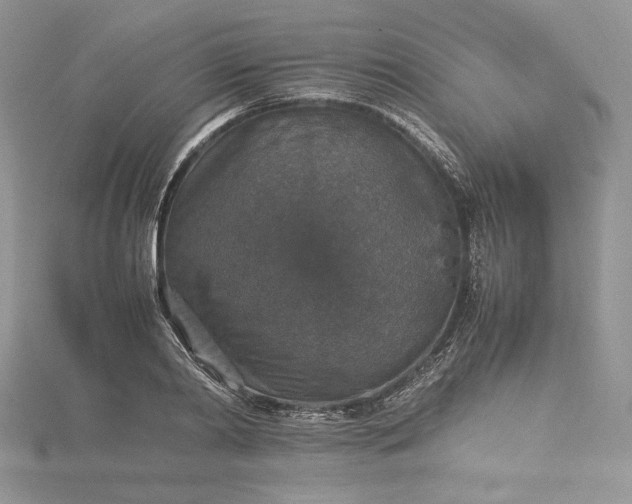 X0000115350790200911171331