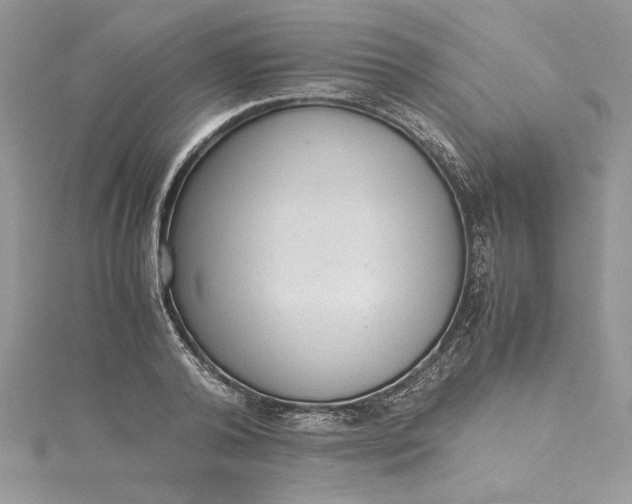 X0000115350792200911171331