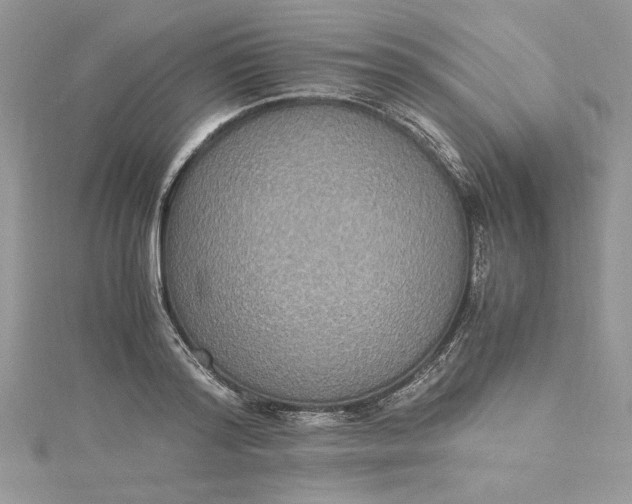 X0000115350796200911171331