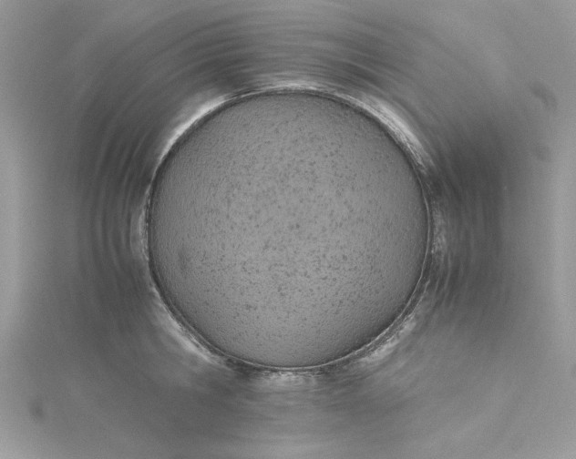 X0000115350806200911171331