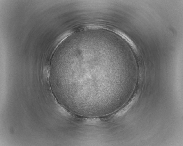 X0000115350809200911171331