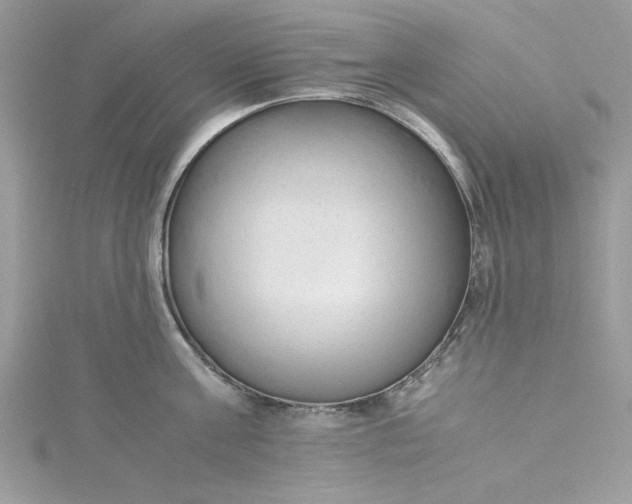 X0000115350811200911171331