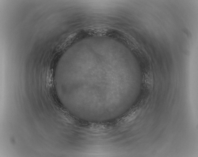 X0000115350818200911171330