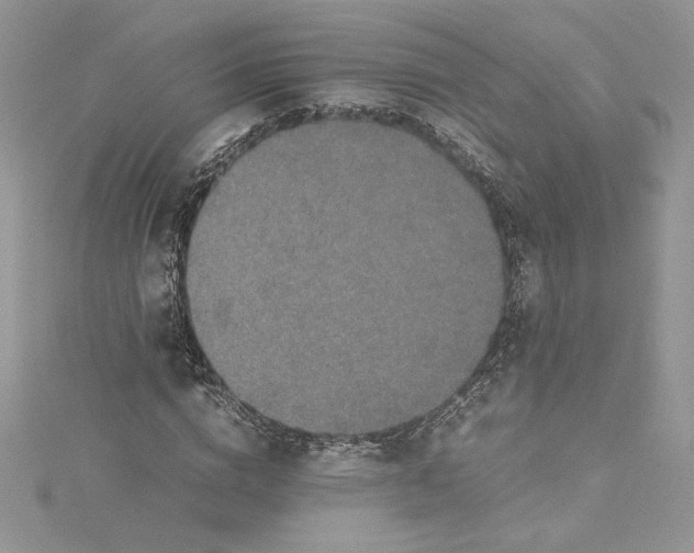 X0000115350824200911171330