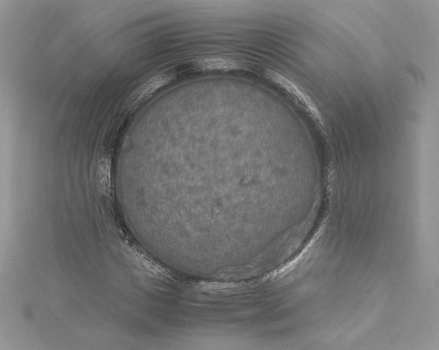 X0000115350825200911171330