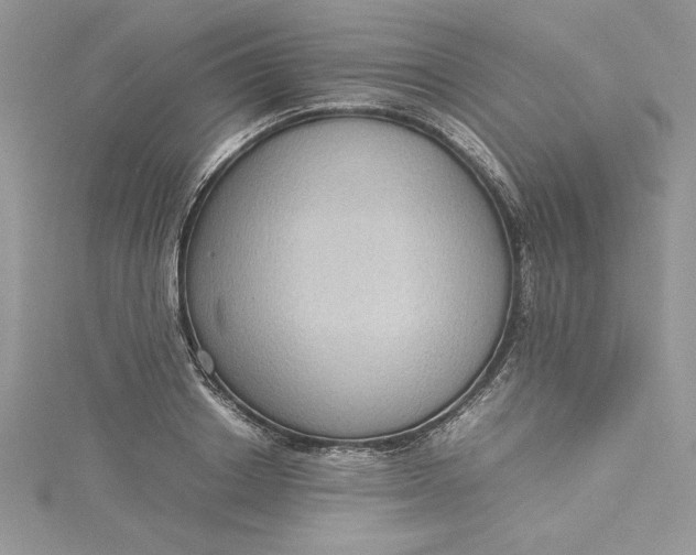 X0000115350842200911171330
