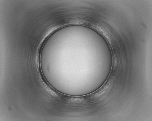 X0000115350843200911171330