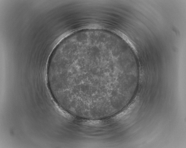X0000115350845200911171330