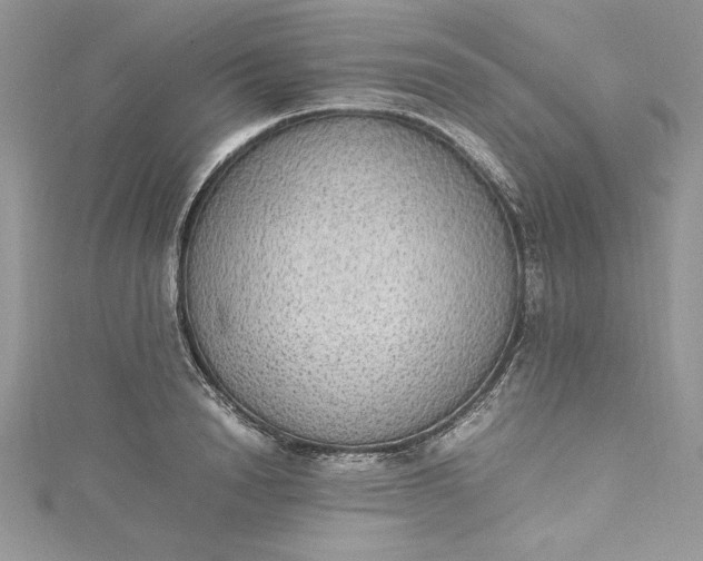 X0000115350846200911171330