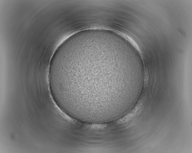X0000115350847200911171330