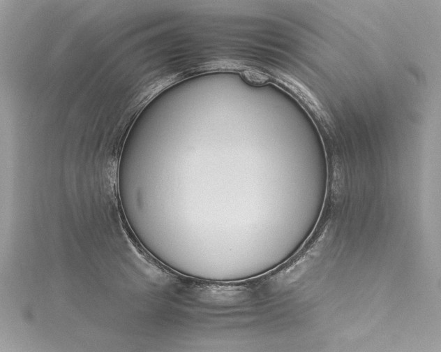 X0000115350849200911171330