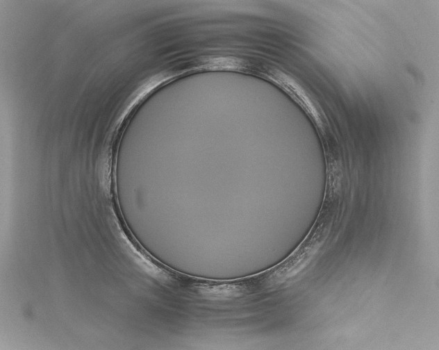 X0000115350851200911171330