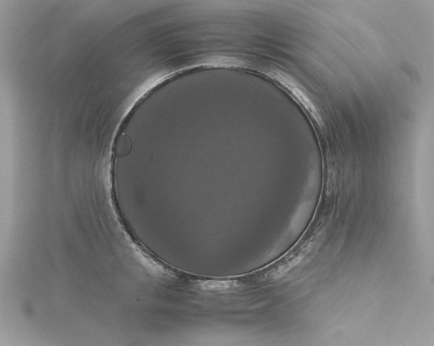 X0000115350853200911171330