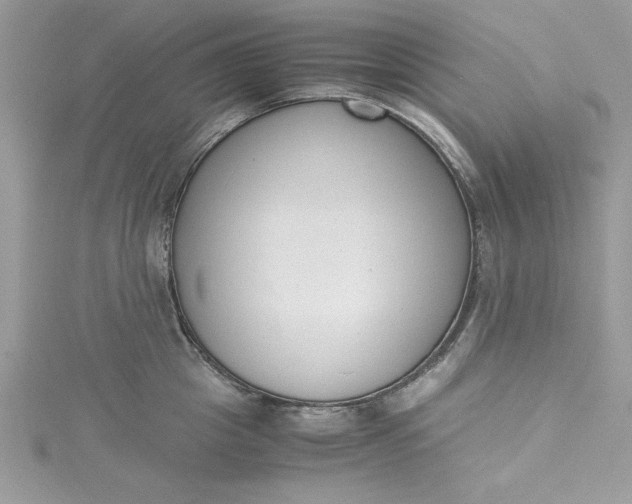 X0000115350857200911171330