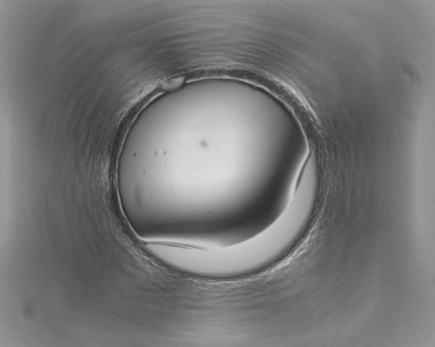 X0000115350873200911171330