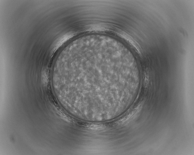 X0000115350874200911171330