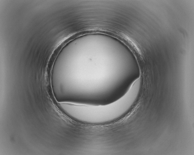 X0000115350876200911171330