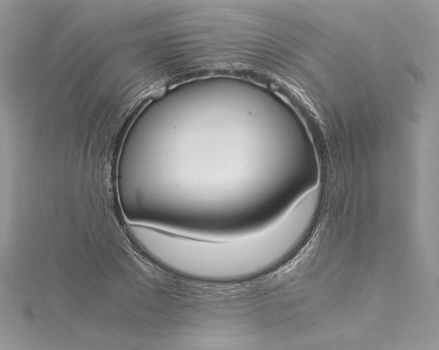 X0000115350881200911171330