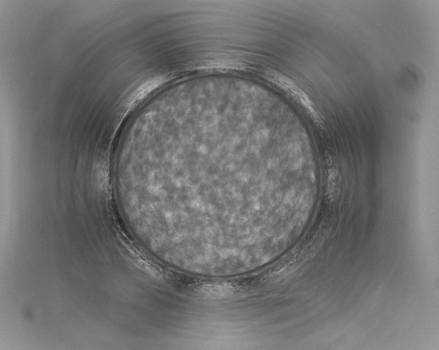 X0000115350882200911171330