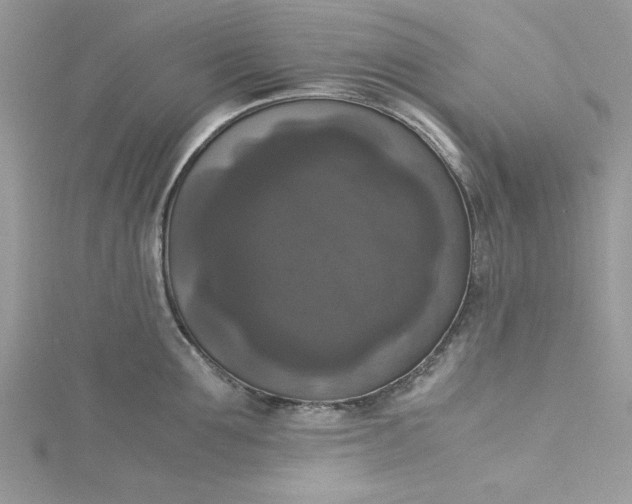 X0000115350907200911171329