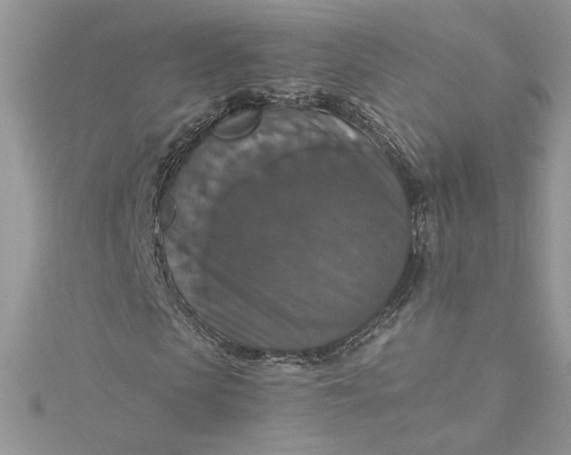 X0000115350913200911171328