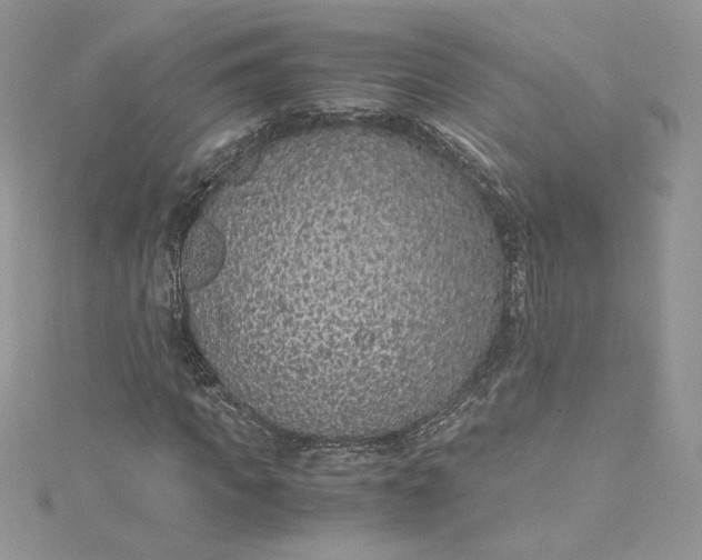 X0000115350917200911171328