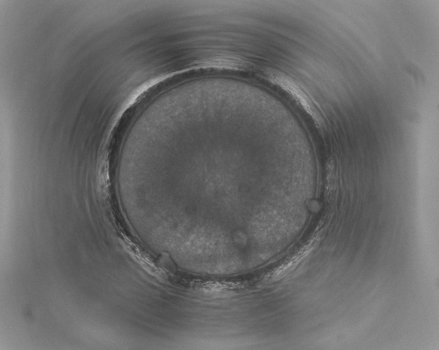 X0000115350923200911171329