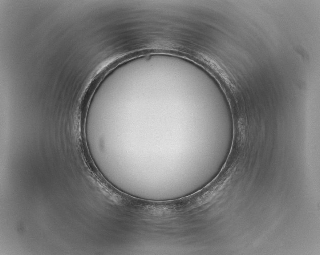 X0000115350931200911171329