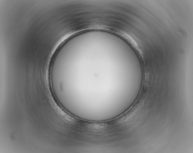 X0000115350947200911171329